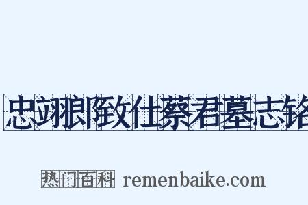 忠翊郎致仕蔡君墓志铭是什么意思的图片